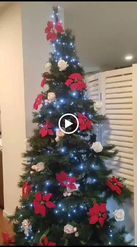 Ristorante Venezia_Carrara-Pontenuovo_slider_image_2