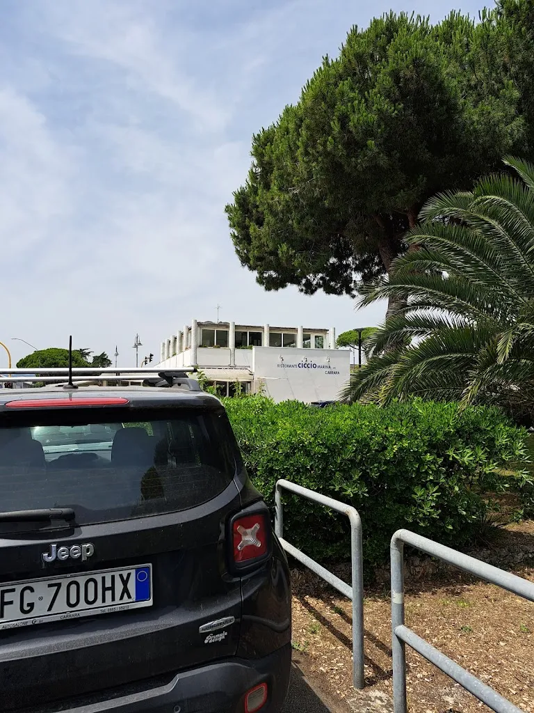 denny hardy_Ristorante Capannina Ciccio_Carrara-Pontenuovo_review