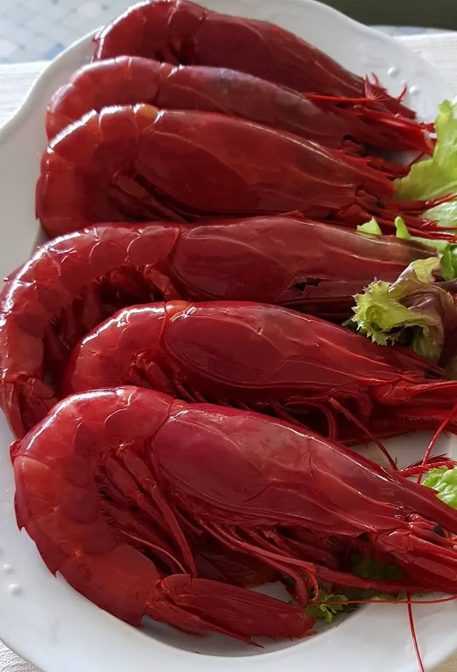 Ristorante Capannina Ciccio_Carrara-Pontenuovo_slider_image_3