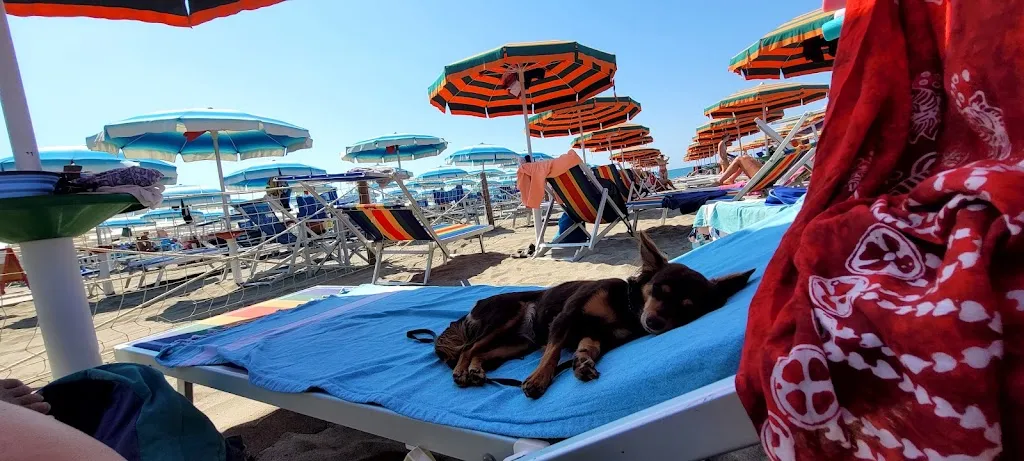 D.E.T_Bagno Firenze_Carrara-Pontenuovo_review