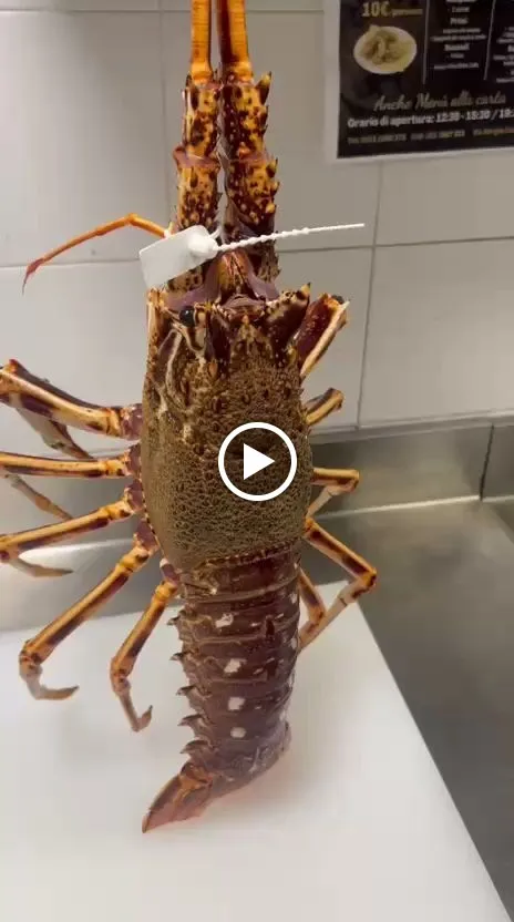 Moretto_Avezzano_slider_image_2