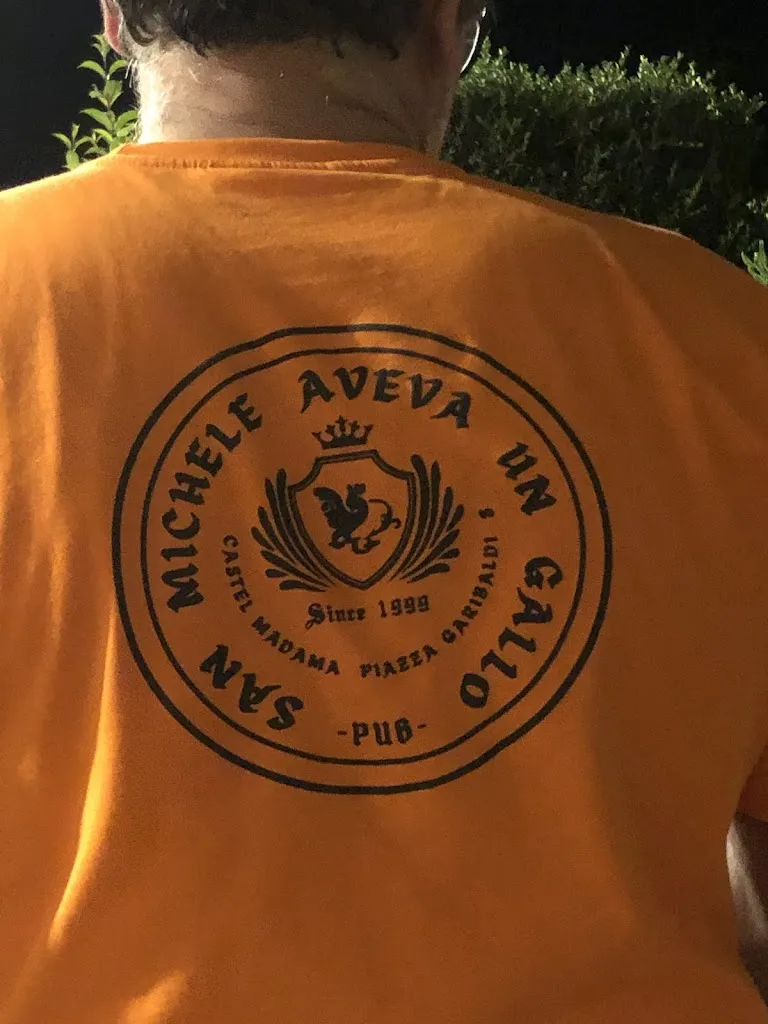 Virginia De Giorgi_San Michele Aveva Un Gallo - Pub_Castel Madama_review