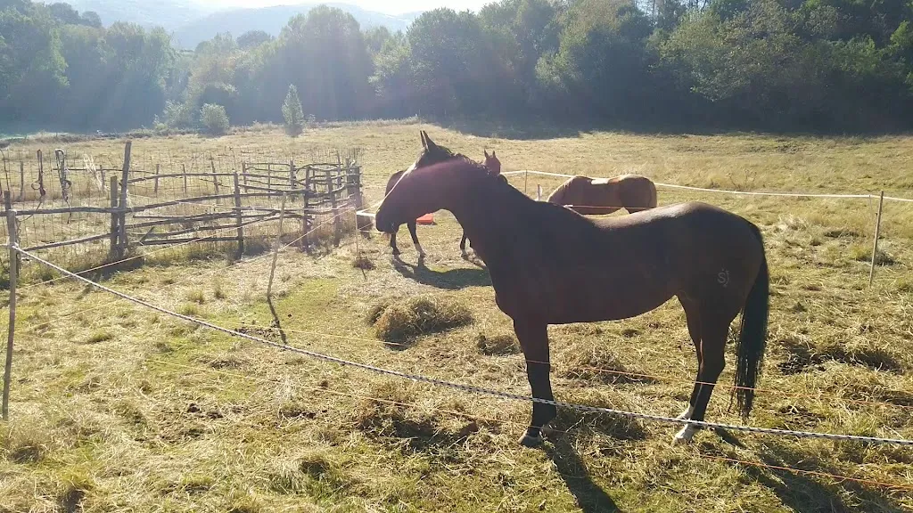 Casale Calabrese_Tornimparte_slider_image_2