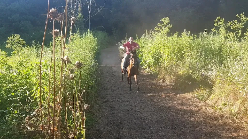 brancasció_Castel Sant'Elia_slider_image_1