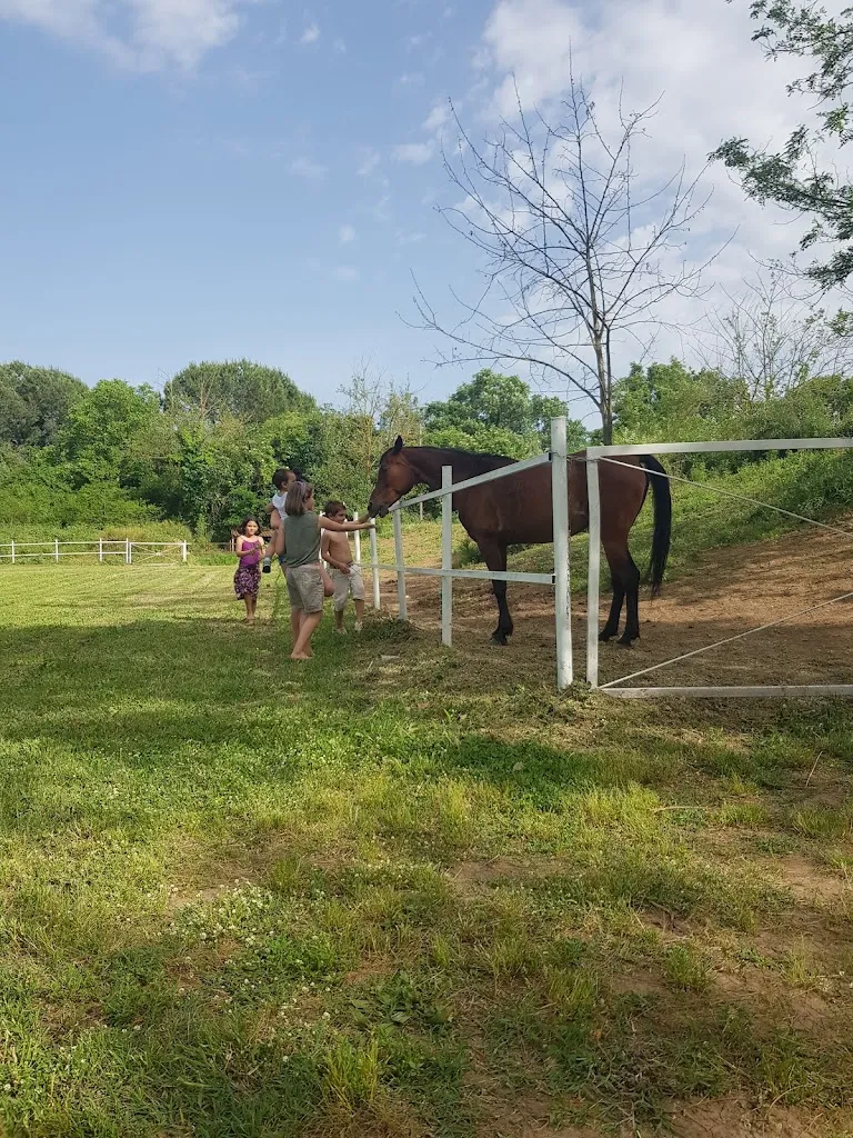 brancasció_Castel Sant'Elia_slider_image_2