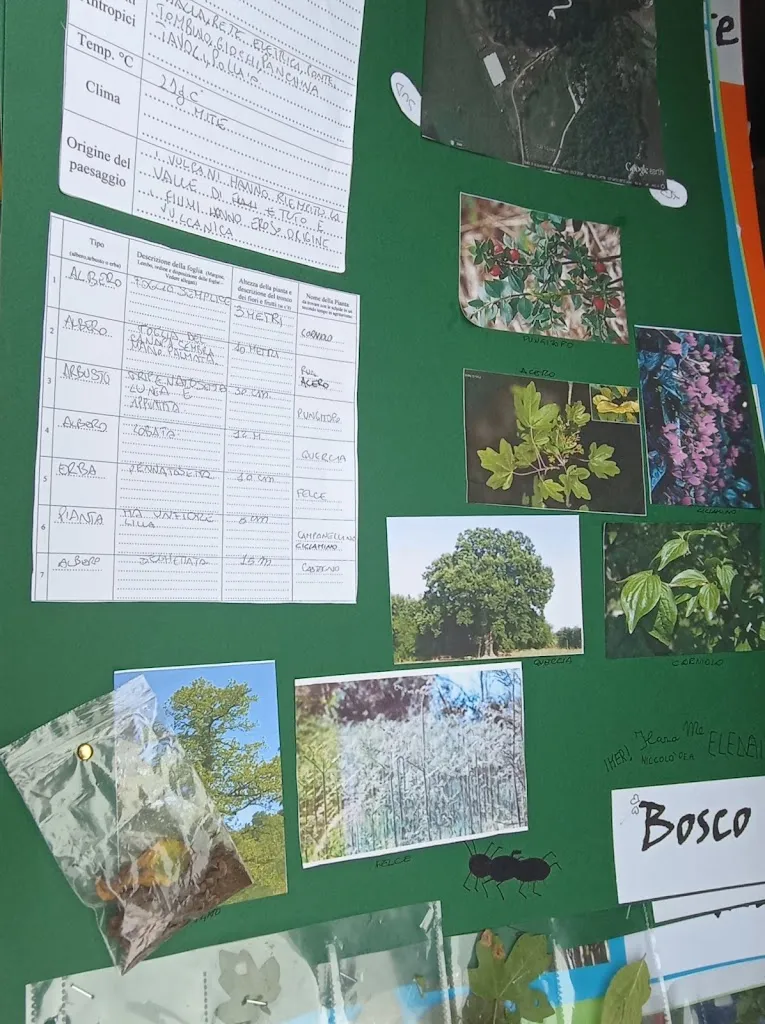 Menu_Agriturismo Le Forre Del Treja_Castel Sant'Elia_image_1