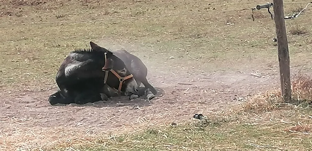 Simone Onori_Agriturismo Zucchegni_Castelnuovo di Farfa_review