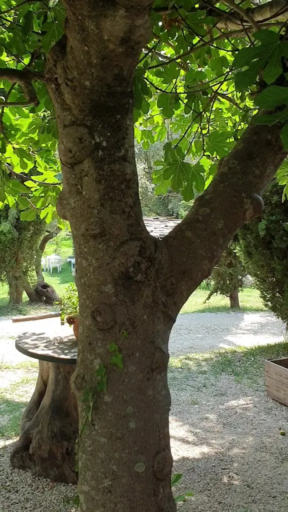 Agriturismo Zucchegni_Castelnuovo di Farfa_slider_image_2