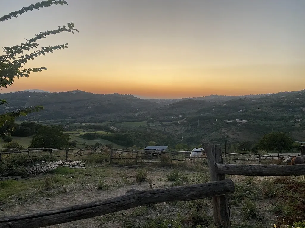 Francésc_Sulla Collina_Castelnuovo di Farfa_review