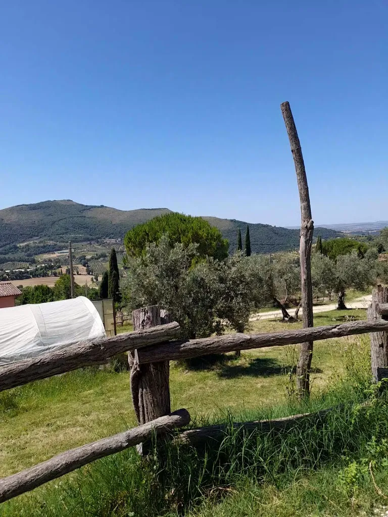 Sulla Collina_Castelnuovo di Farfa_slider_image_2