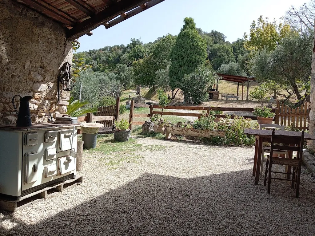 Agri - OLIVETTA DI FARFA - Home Restaurant restaurant in Castelnuovo di Farfa