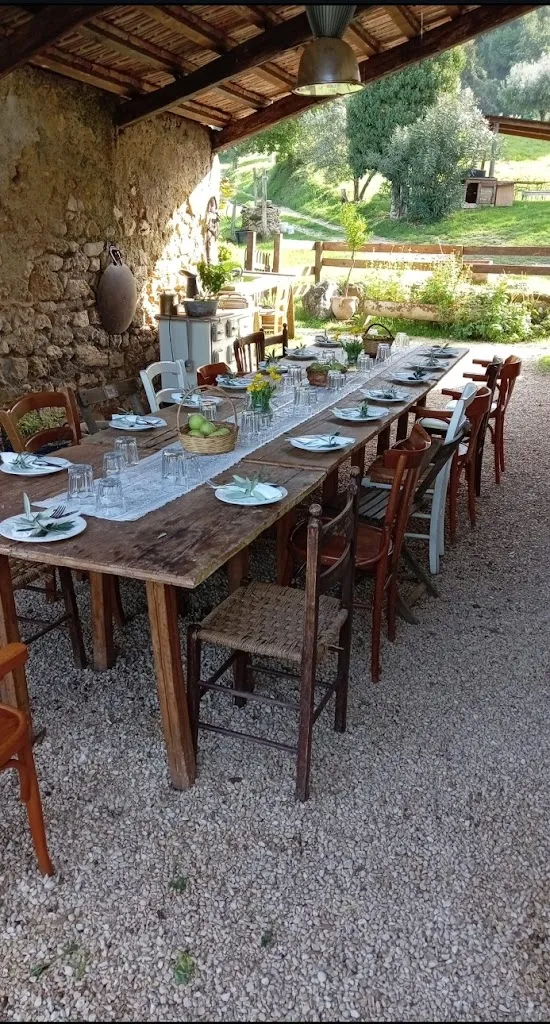 Agri - OLIVETTA DI FARFA - Home Restaurant_Castelnuovo di Farfa_slider_image_3