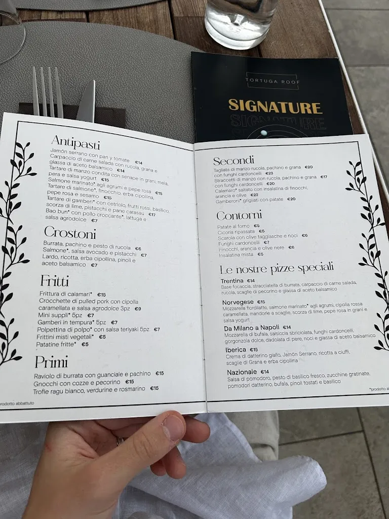 Cosmin Todireanu_Tortuga Roof_Castel Gandolfo_review