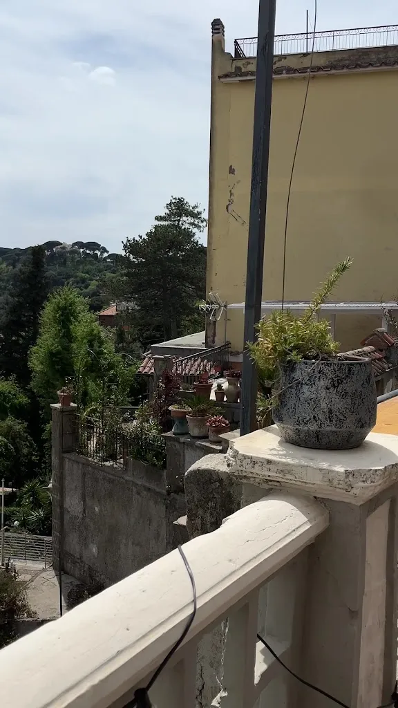 Irine Shershneva_La Bonne Bouteille_Castel Gandolfo_review