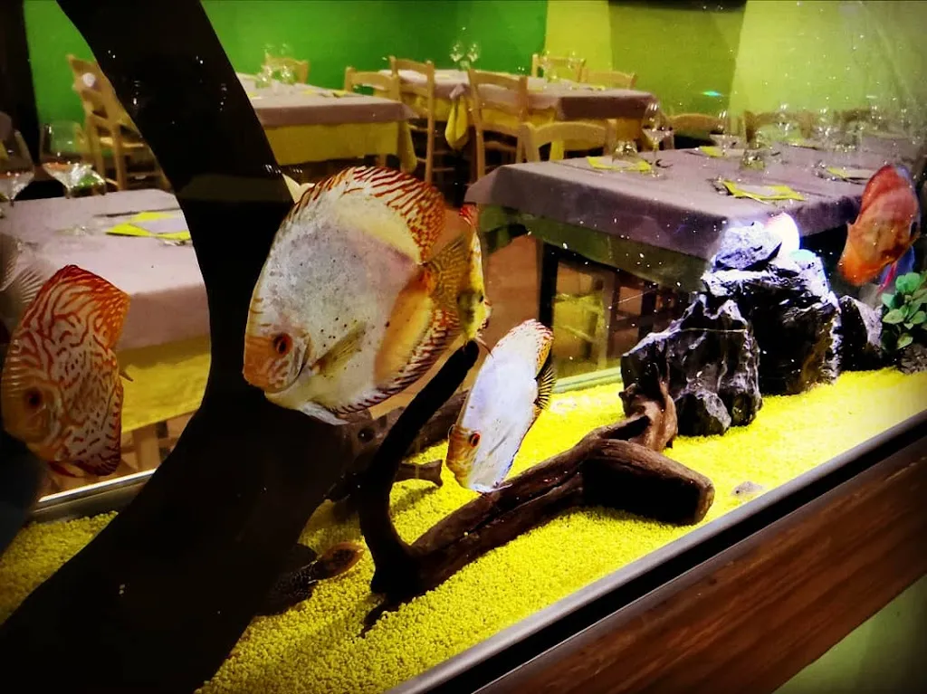 Menu_Due di picche S.r.l._Castiglione in Teverina_image_5