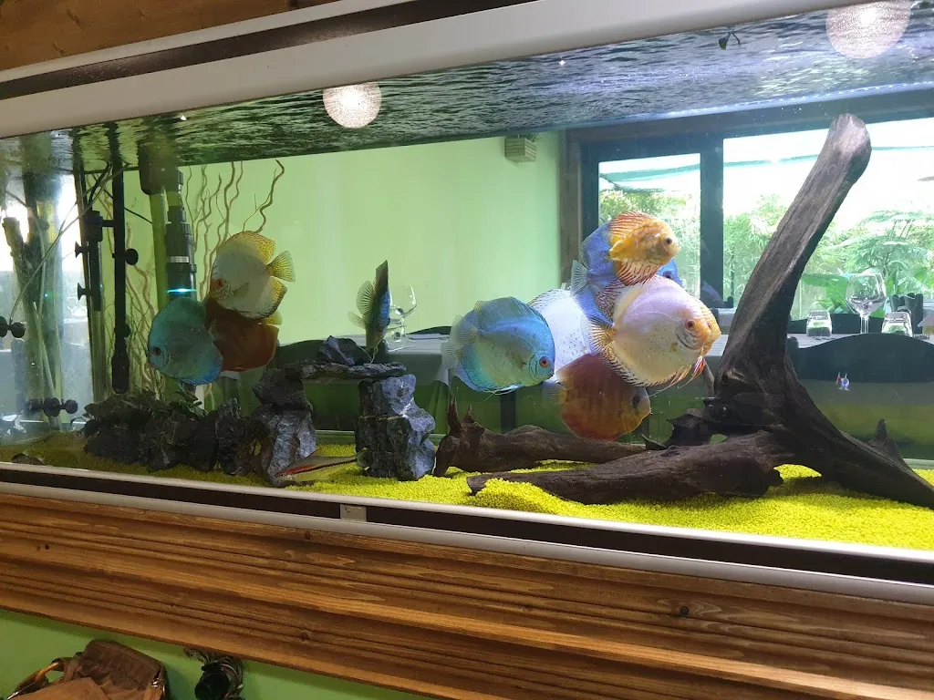 Due di picche S.r.l._Castiglione in Teverina_slider_image_2