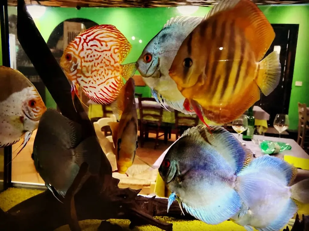 Due di picche S.r.l._Castiglione in Teverina_slider_image_3