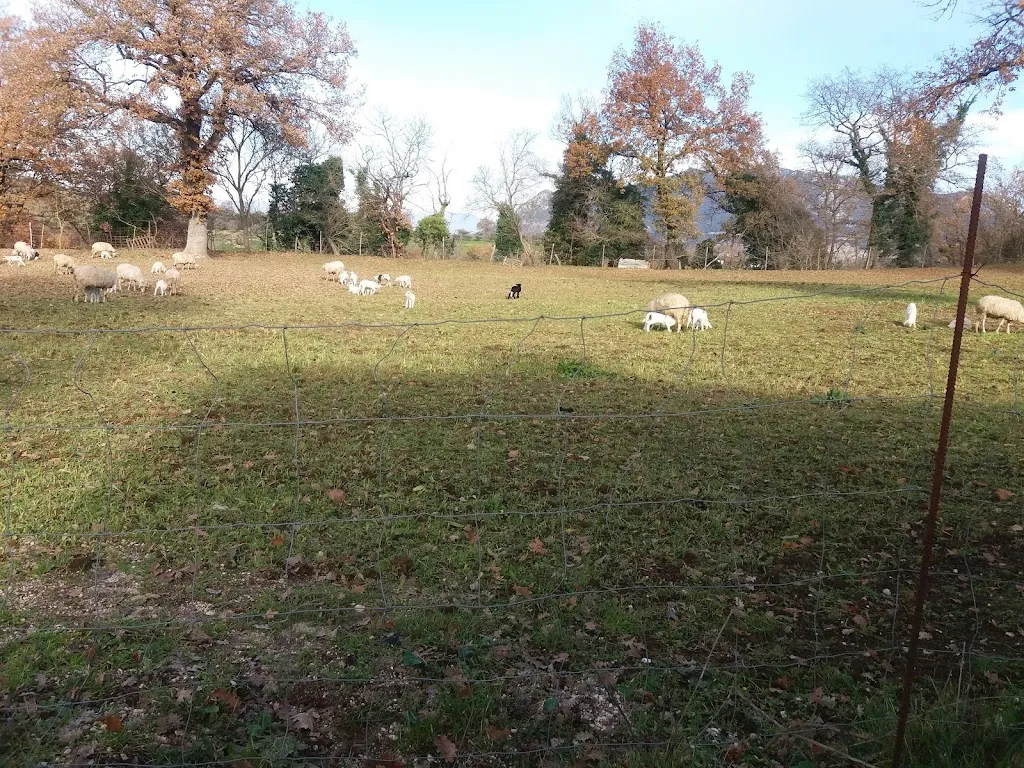 La vecchia Torre_Castelnuovo di Porto_slider_image_2