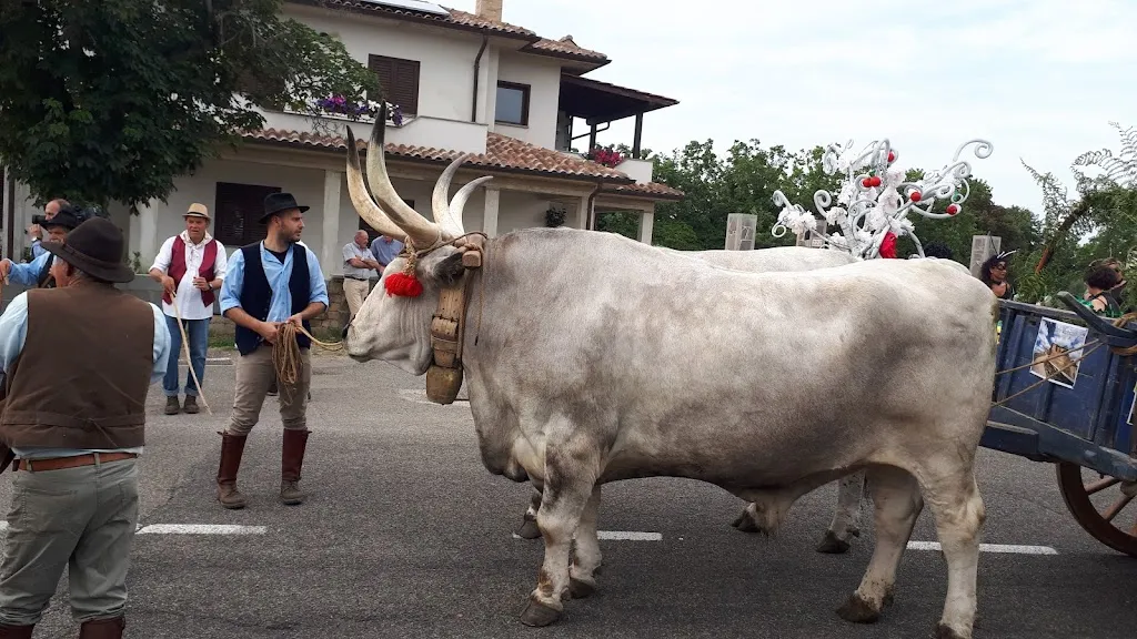 Casciani Laura_Celleno_slider_image_3