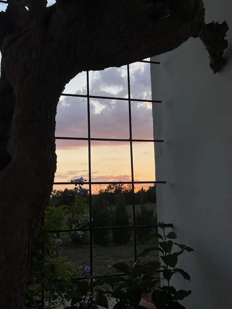 Sven Houweling_TENUTA AQUINUM_Castrocielo_review