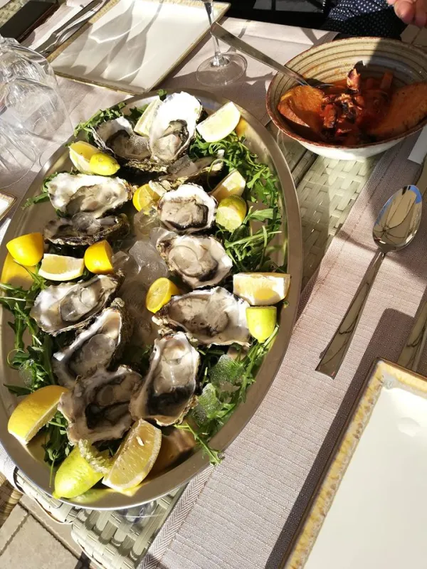 Tenuta Terra e Sole_Castrocielo_slider_image_3