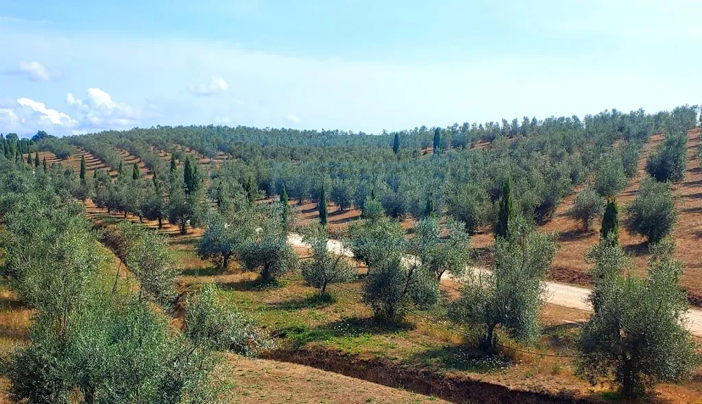 Chris C_Il Podere di Marfisa_Cellere_review