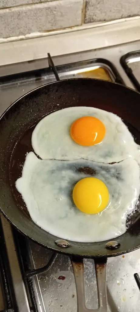 Menu_RISTORANTE ROSSOLAMPONE_Cerreto Laziale_image_1