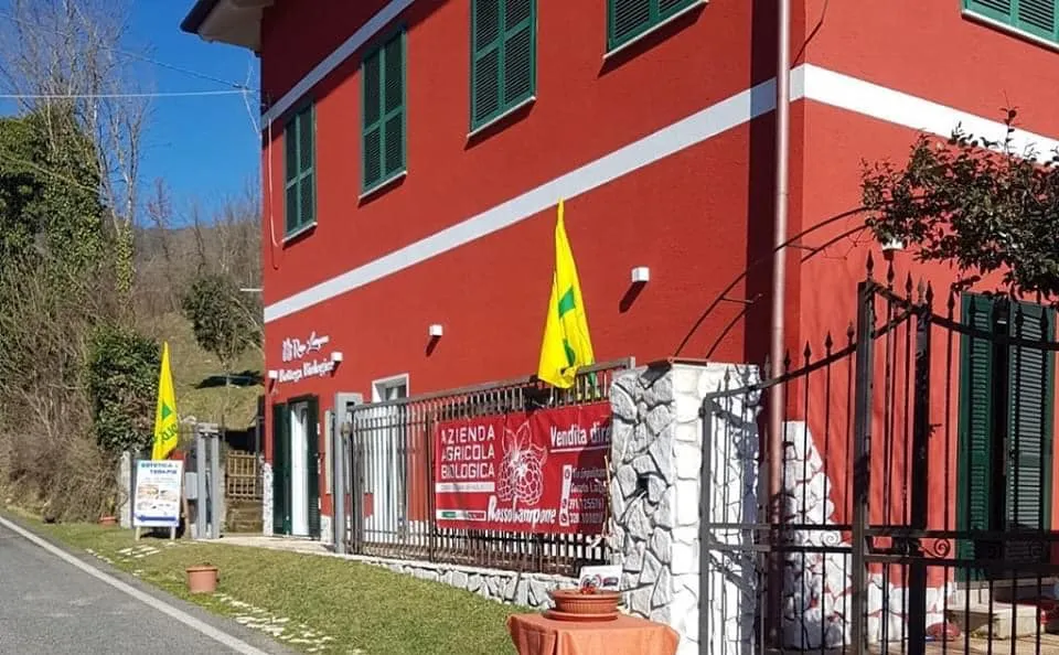 RISTORANTE ROSSOLAMPONE restaurant in Cerreto Laziale