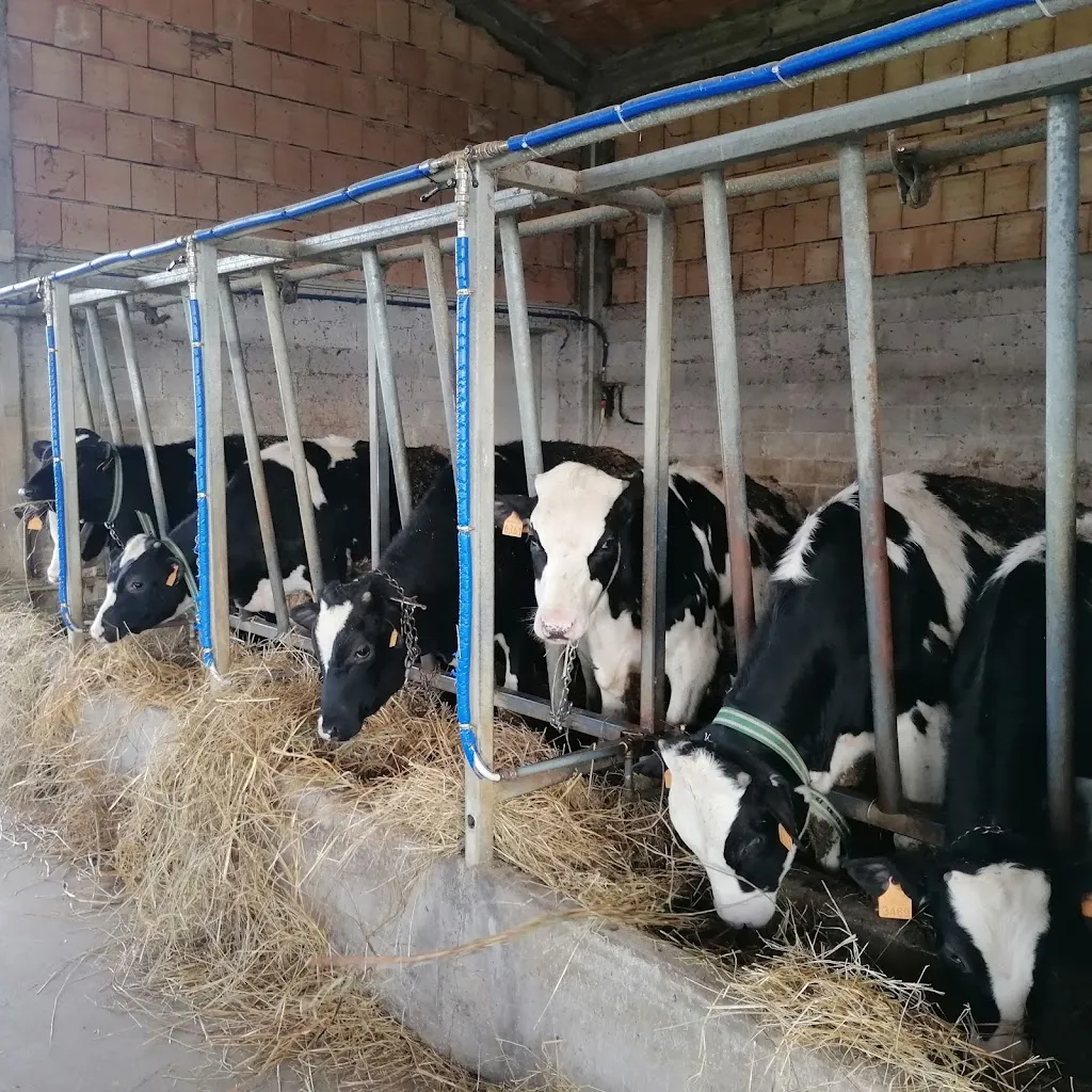 Celine Meylemans_The Hill Farm ciociaro_Ceprano_review