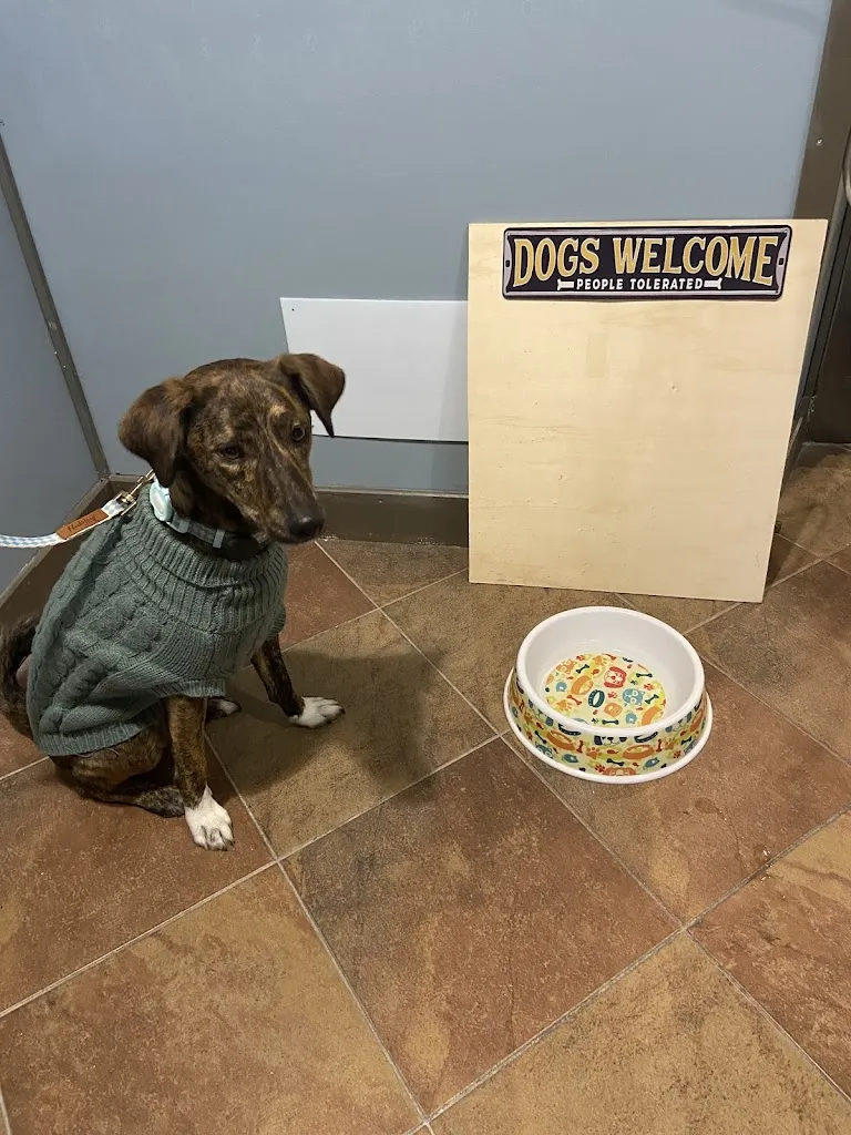 Artemis M_67039 Ristorante_Sulmona_recensione