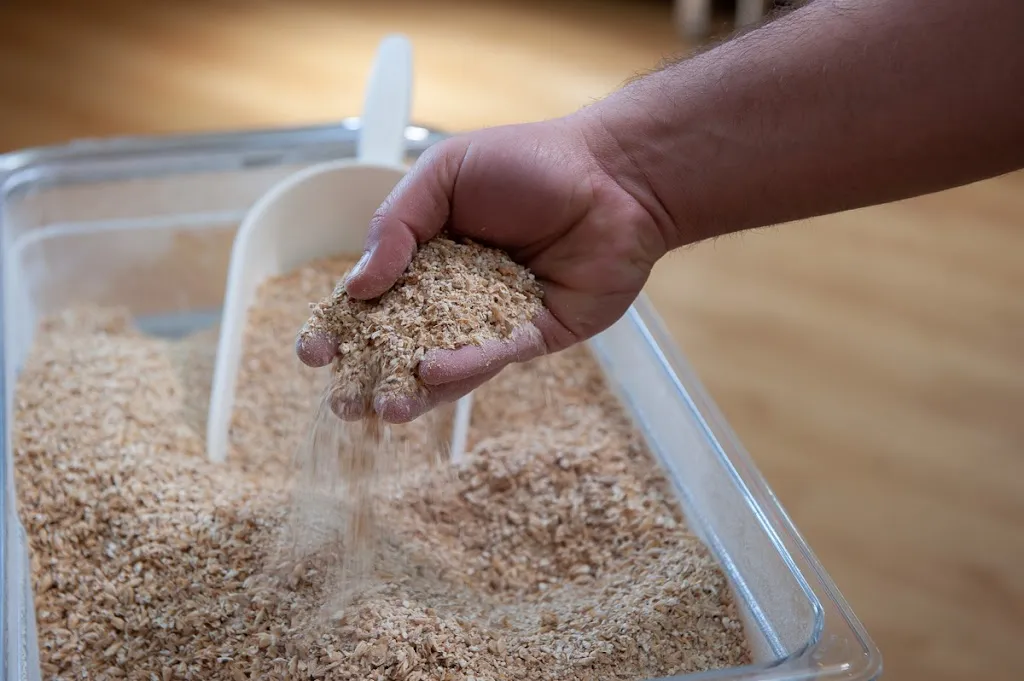 Menu_Birra dei Briganti_Ceprano_image_8