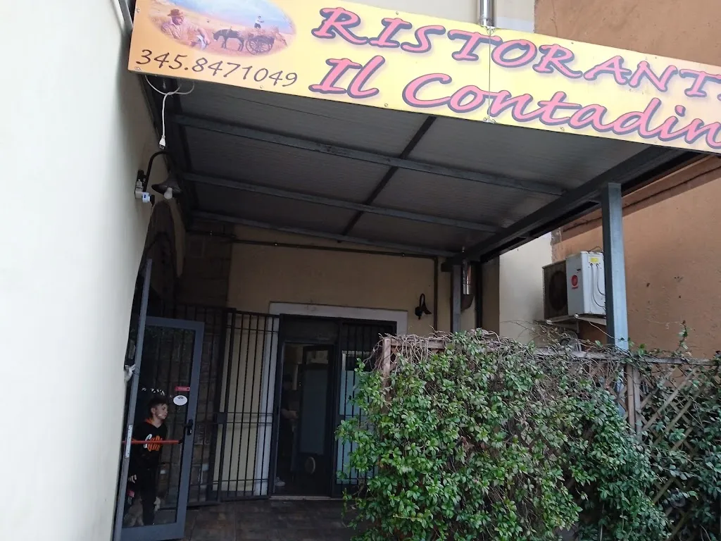 Ristorante "Il Contadino" restaurant in Ceccano