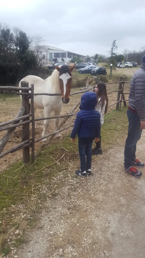 Michele Pennacchia_Associazione Fattoria La Corona_Civitella San Paolo_review