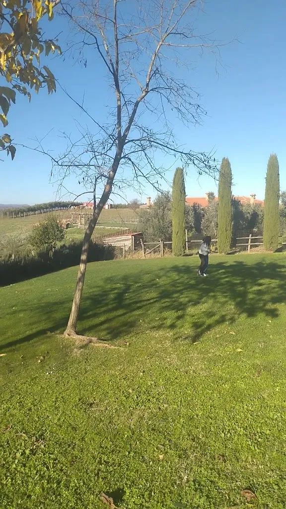 Ristorante La Casetta_Cerveteri_slider_image_2