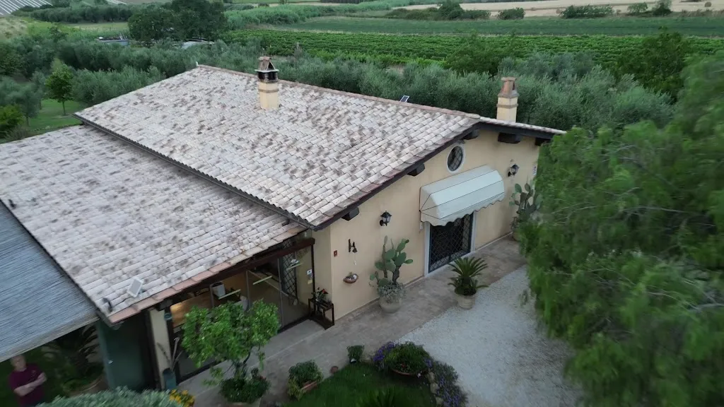 Casa degli Ulivi_Cerveteri_slider_image_2