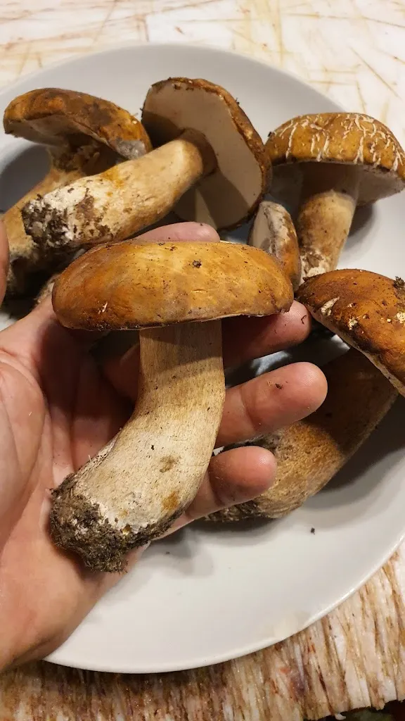 Da Fiore_Cerveteri_slider_image_3