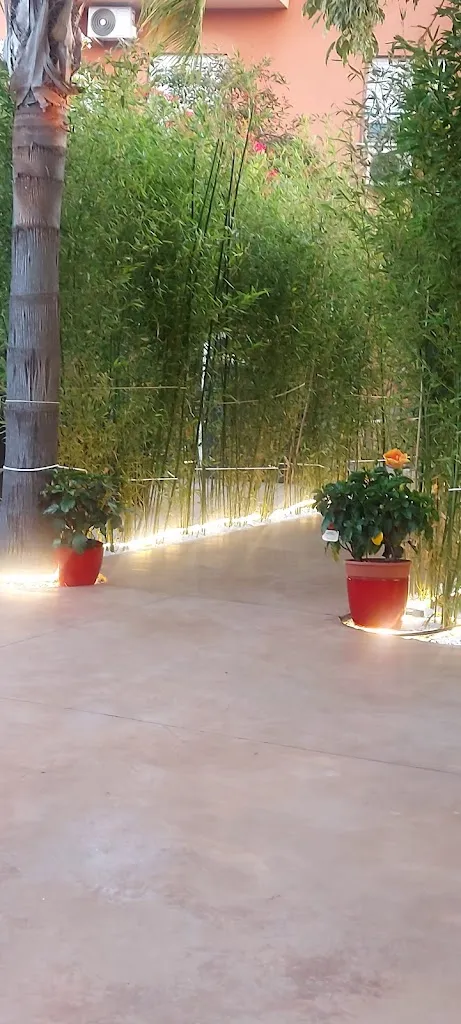 Alex B._Bar Il Giardino_Cerveteri_review