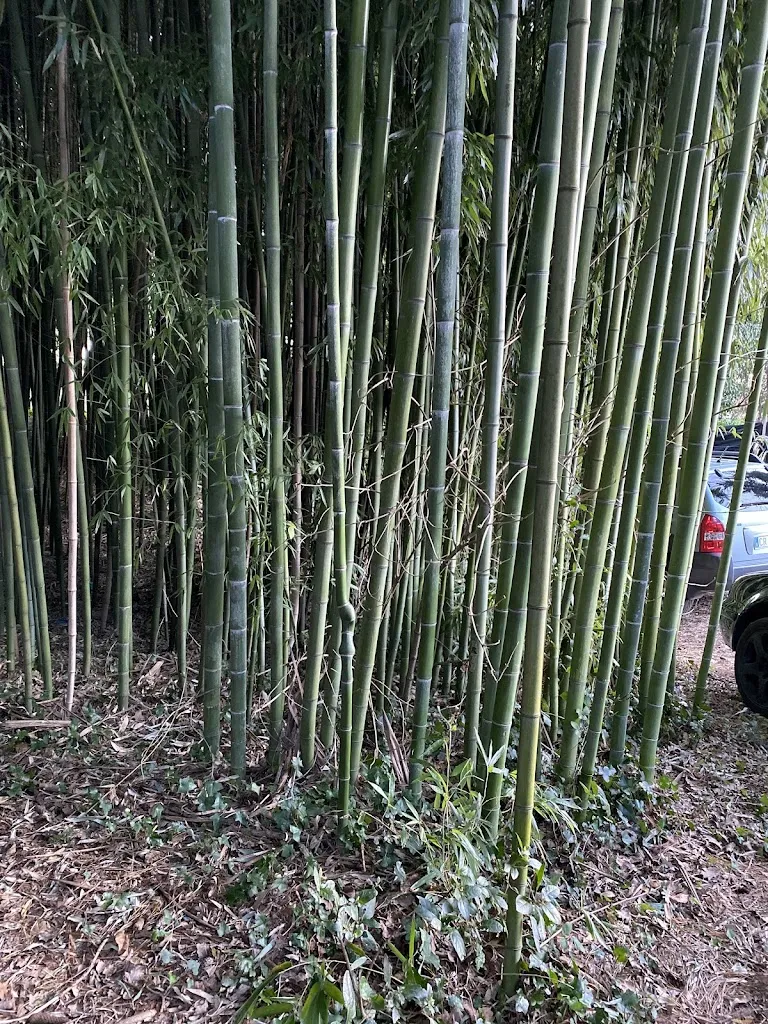 PATRICIA MOORE_Il Piccolo Paradiso_Colle di Fuori_review