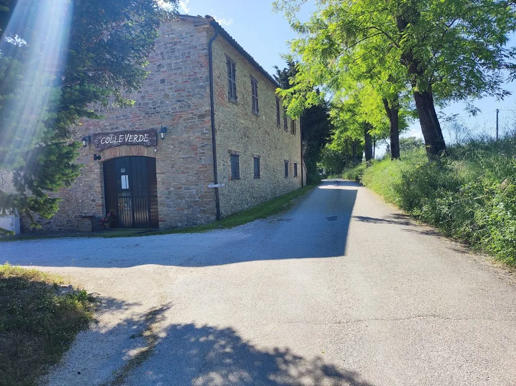 Ignitude_Agriturismo Ristorante Colleverde_Colle Verde_review