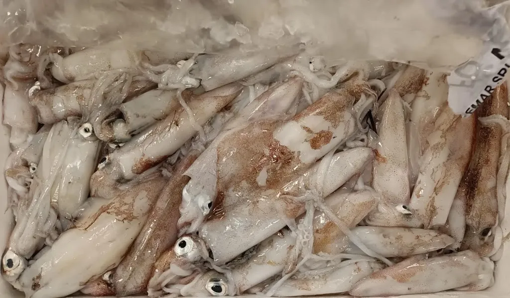 Menu_Osteria La Saraga_Cisterna di Latina_image_6