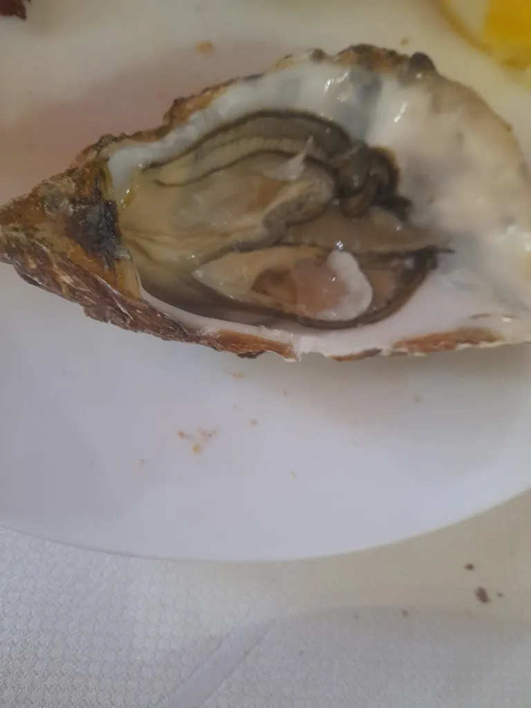 Menu_Ristorante Il Piccolo Ducato_Cisterna di Latina_image_4