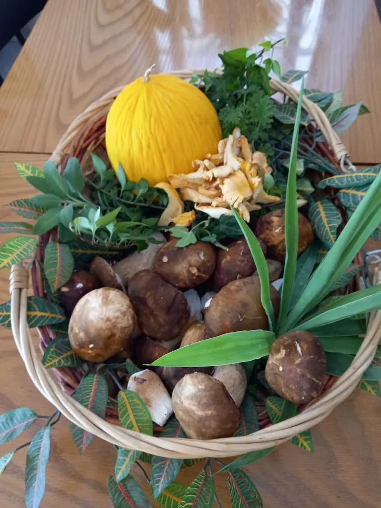 Menu_Ristorante Il Gabbiano Jonathan_Cisterna di Latina_immagine_2