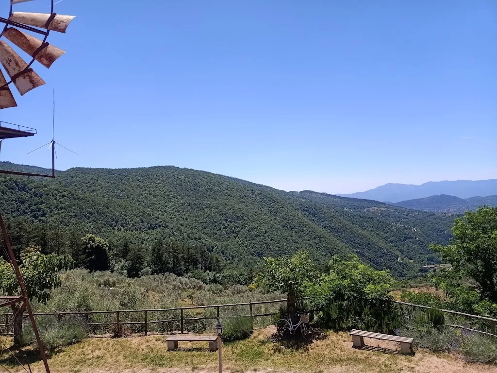 Njei Synthia_Lo Scoiattolo da Anna_Collepardo_review