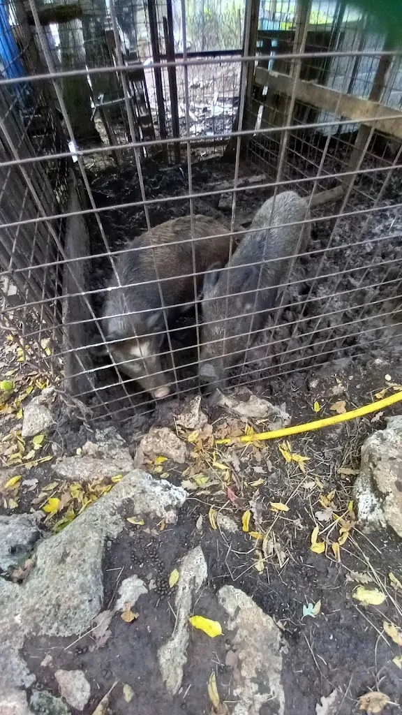 Mariella D'arpini_Ristorante La Baita_Collepardo_review