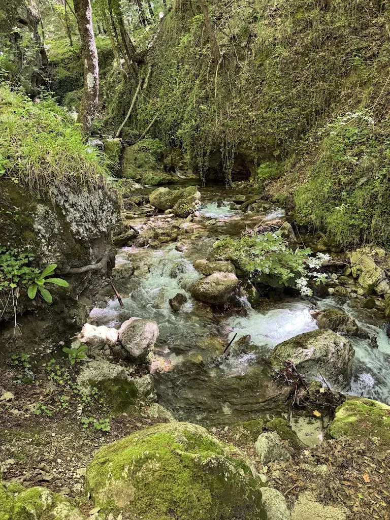 Daniele_Ristorante Capofiume_Collepardo_review