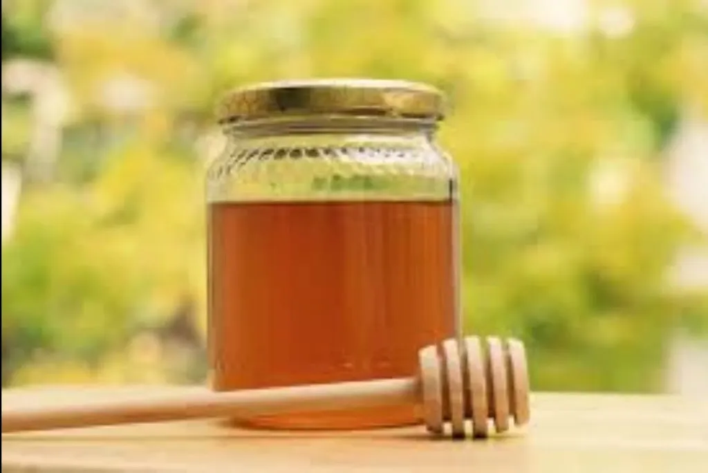 Menu_Azienda Vitivinicola Angeletti Raffaele - Agriturismo | Wine Shop_Colle Mainello_image_1