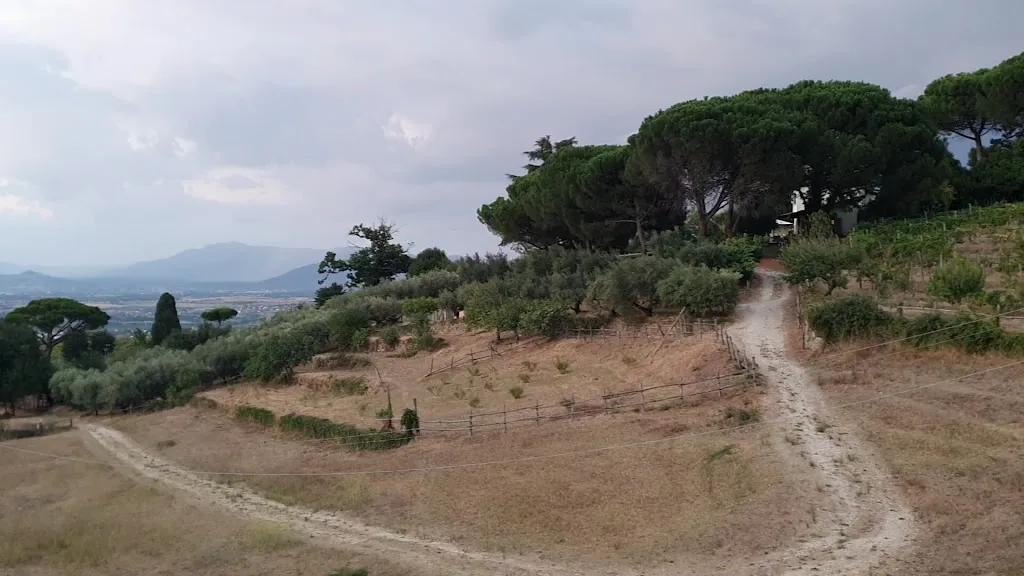 Colle Felice_Colle Mainello_slider_image_2