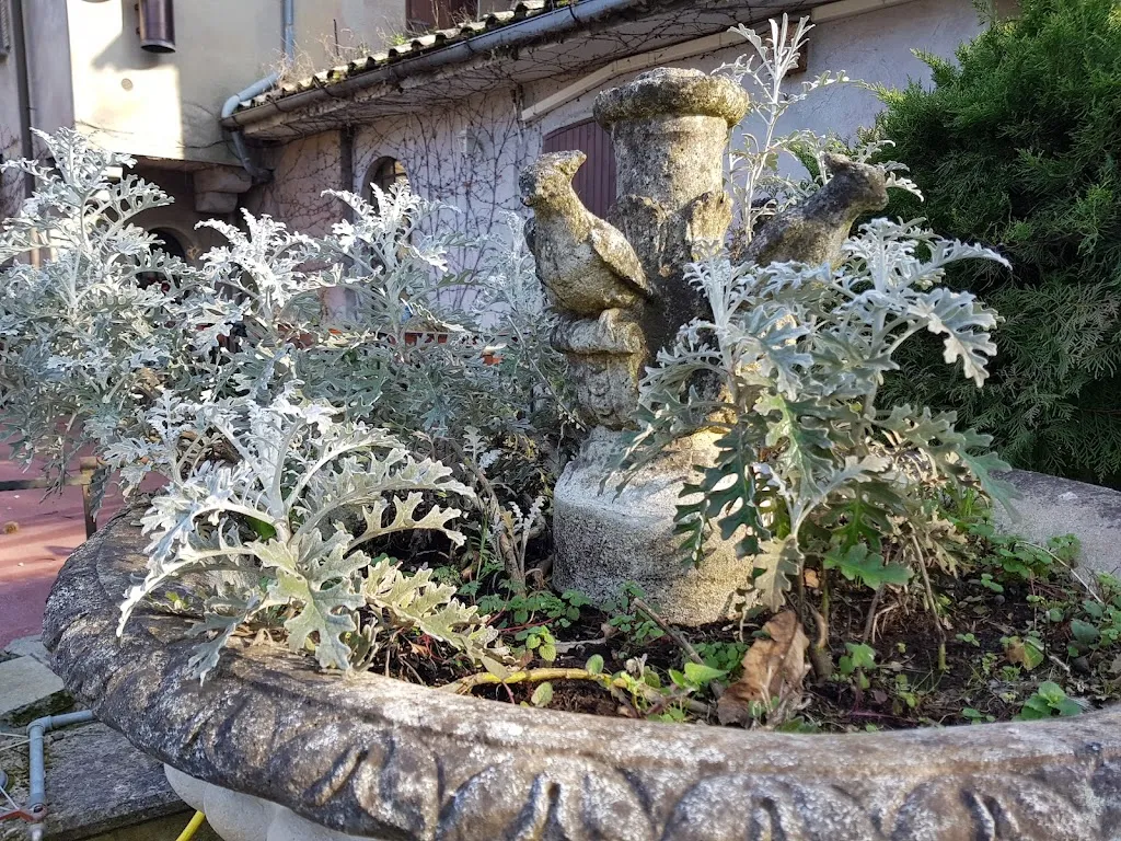 Andrij Abyzov_Qui e Ora | Arrosticini, Pinsa Romana E...._Colle Mainello_review