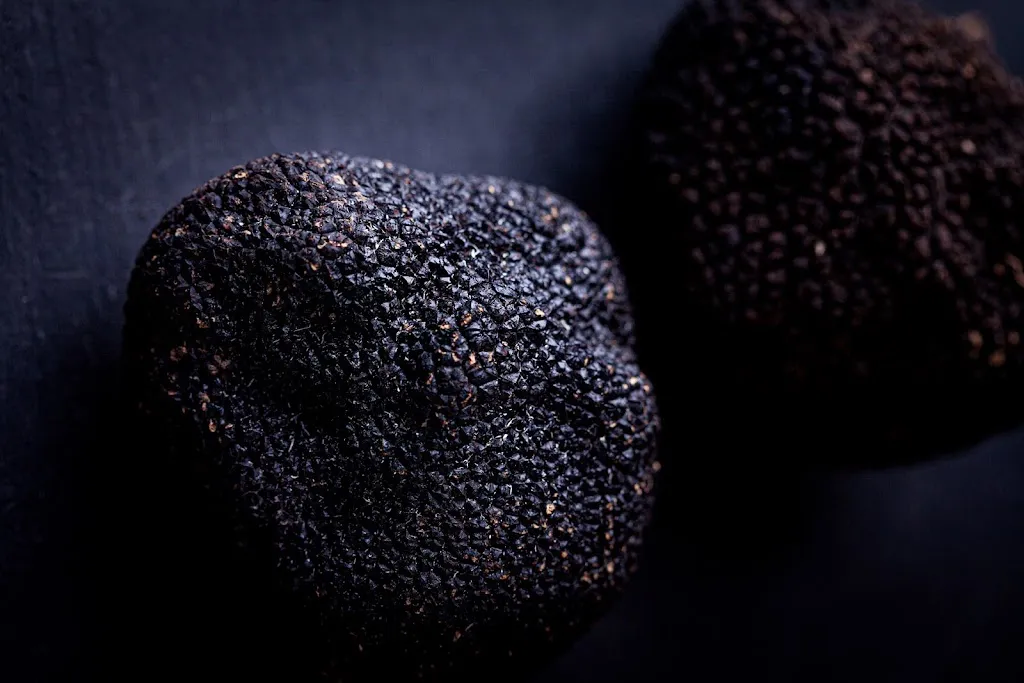 Love Truffles_Colle Mainello_slider_image_2