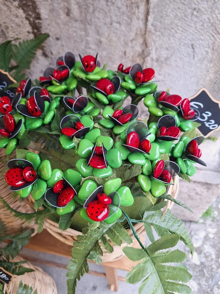 Hendrik Blaauw_Centro Storico di Sulmona_Sulmona_review